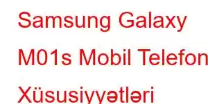 Samsung Galaxy M01s Mobil Telefon Xüsusiyyətləri